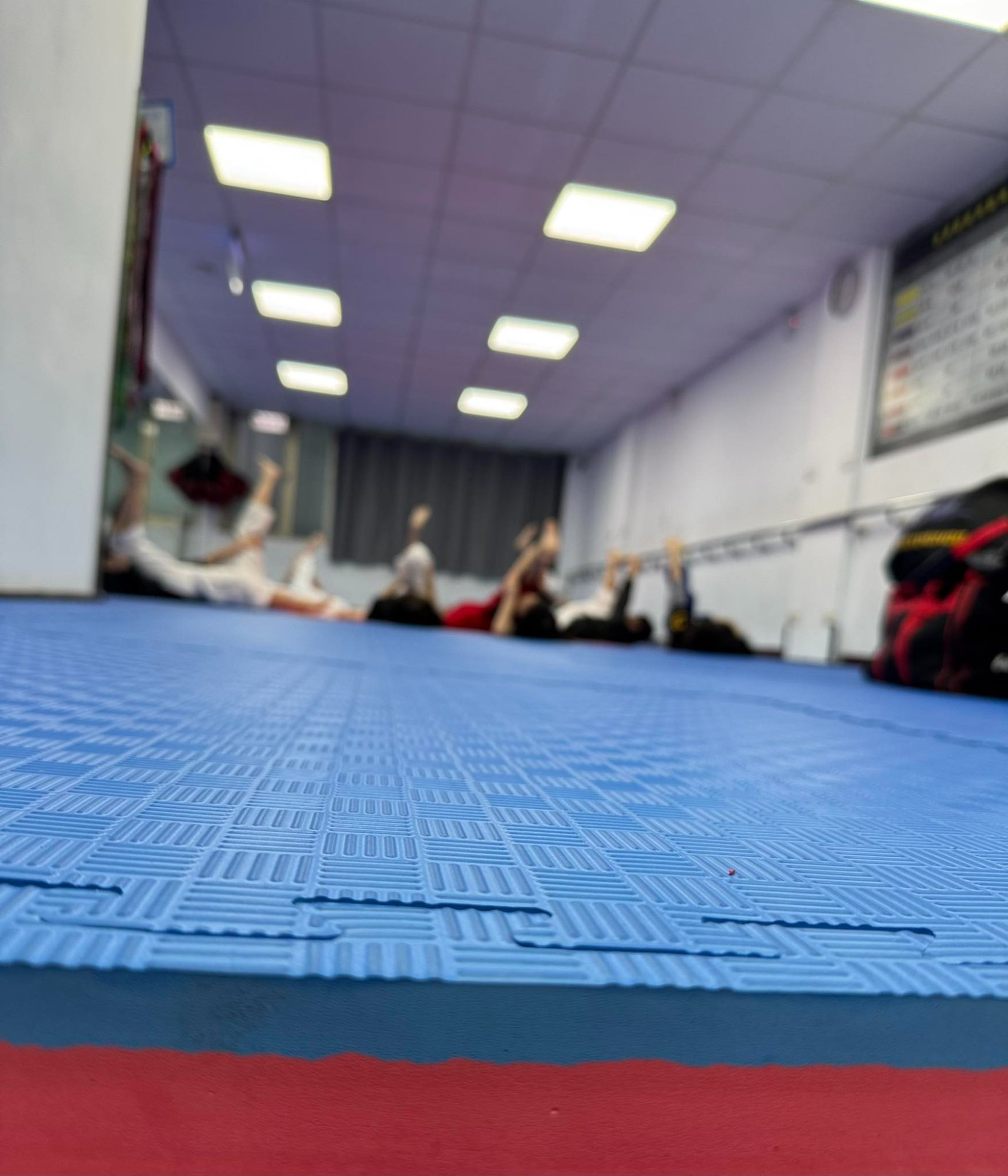 地板墊子加強鋪設