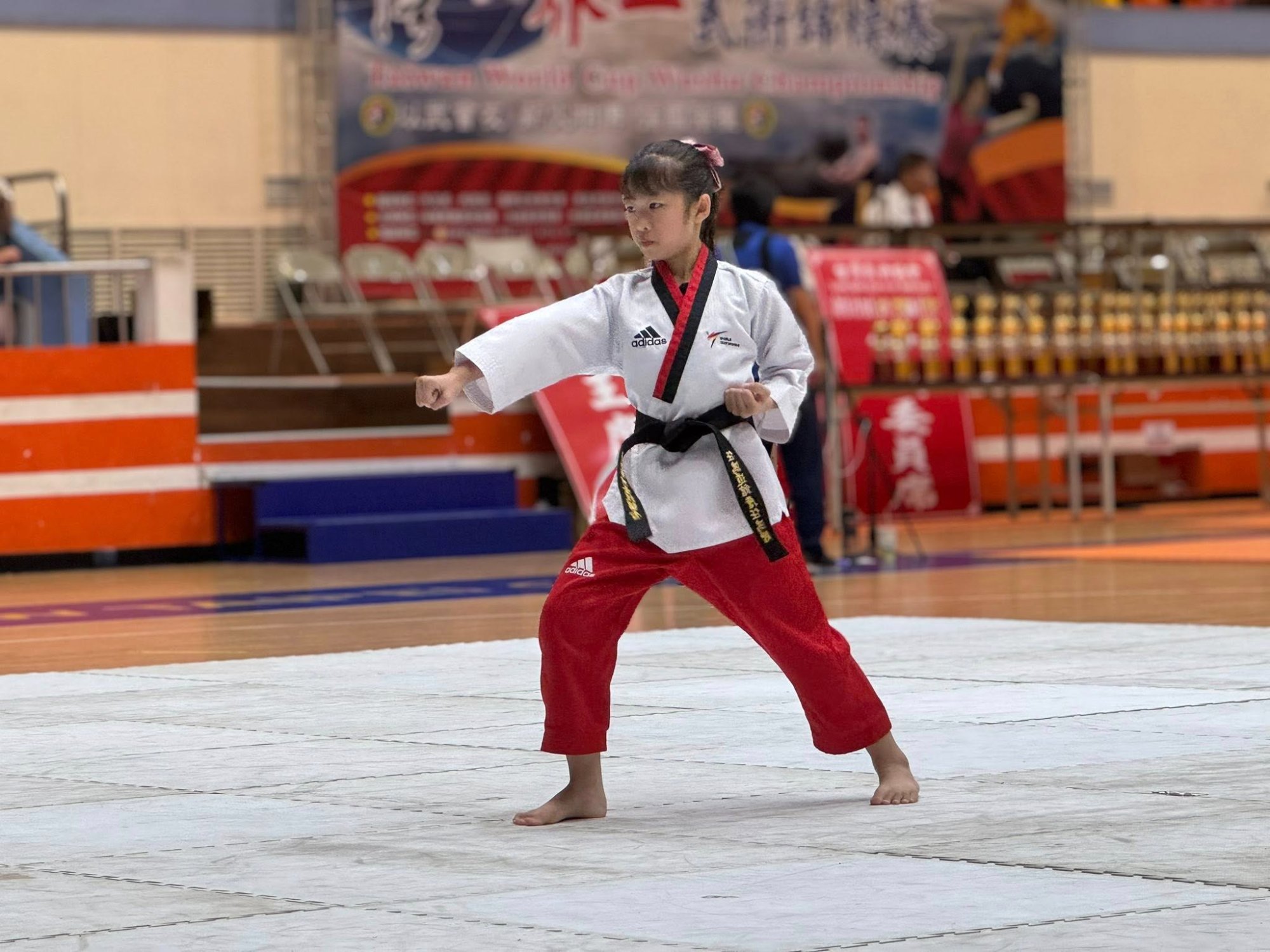 世界盃武術錦標賽品勢