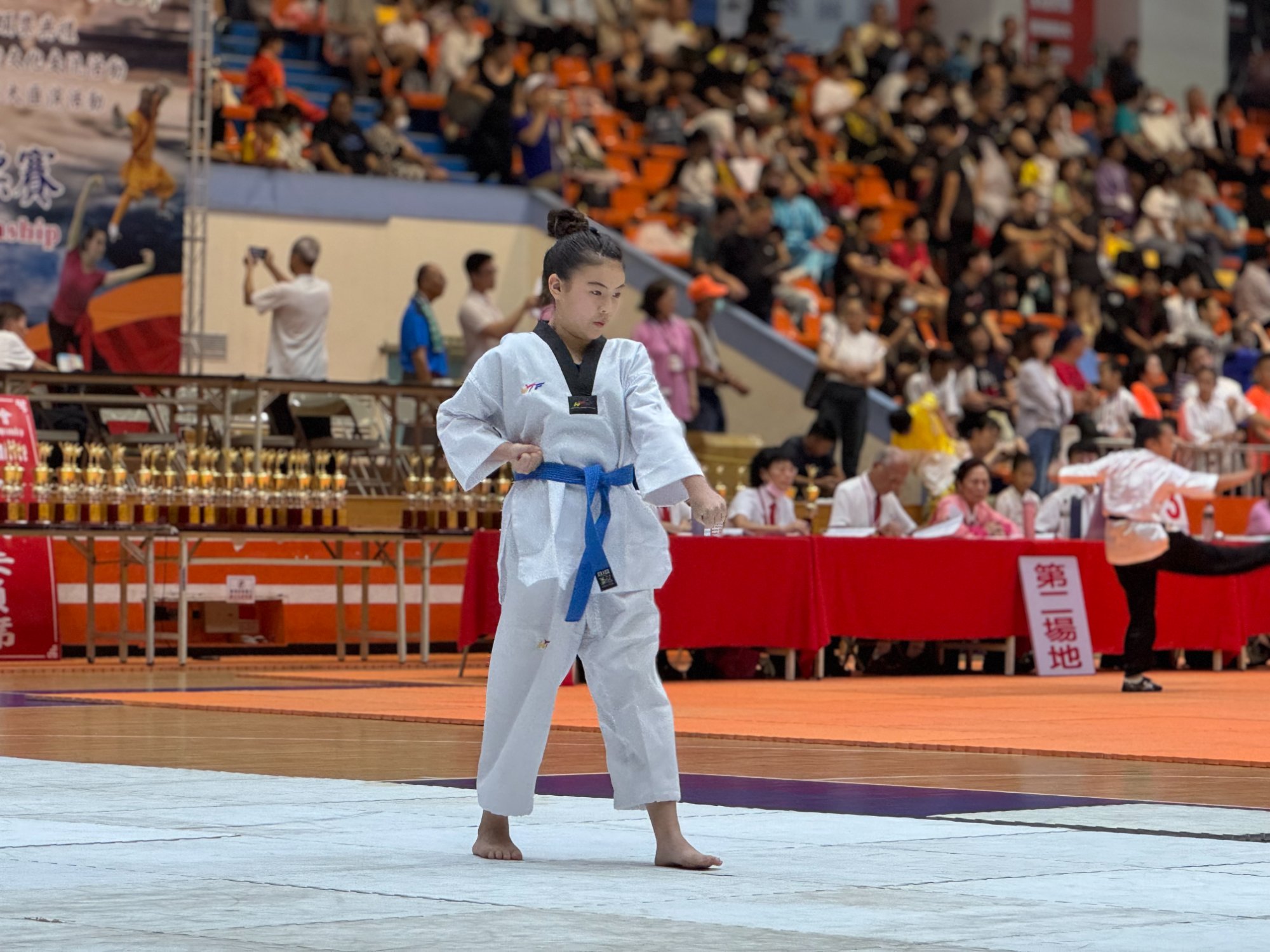 世界盃武術錦標賽