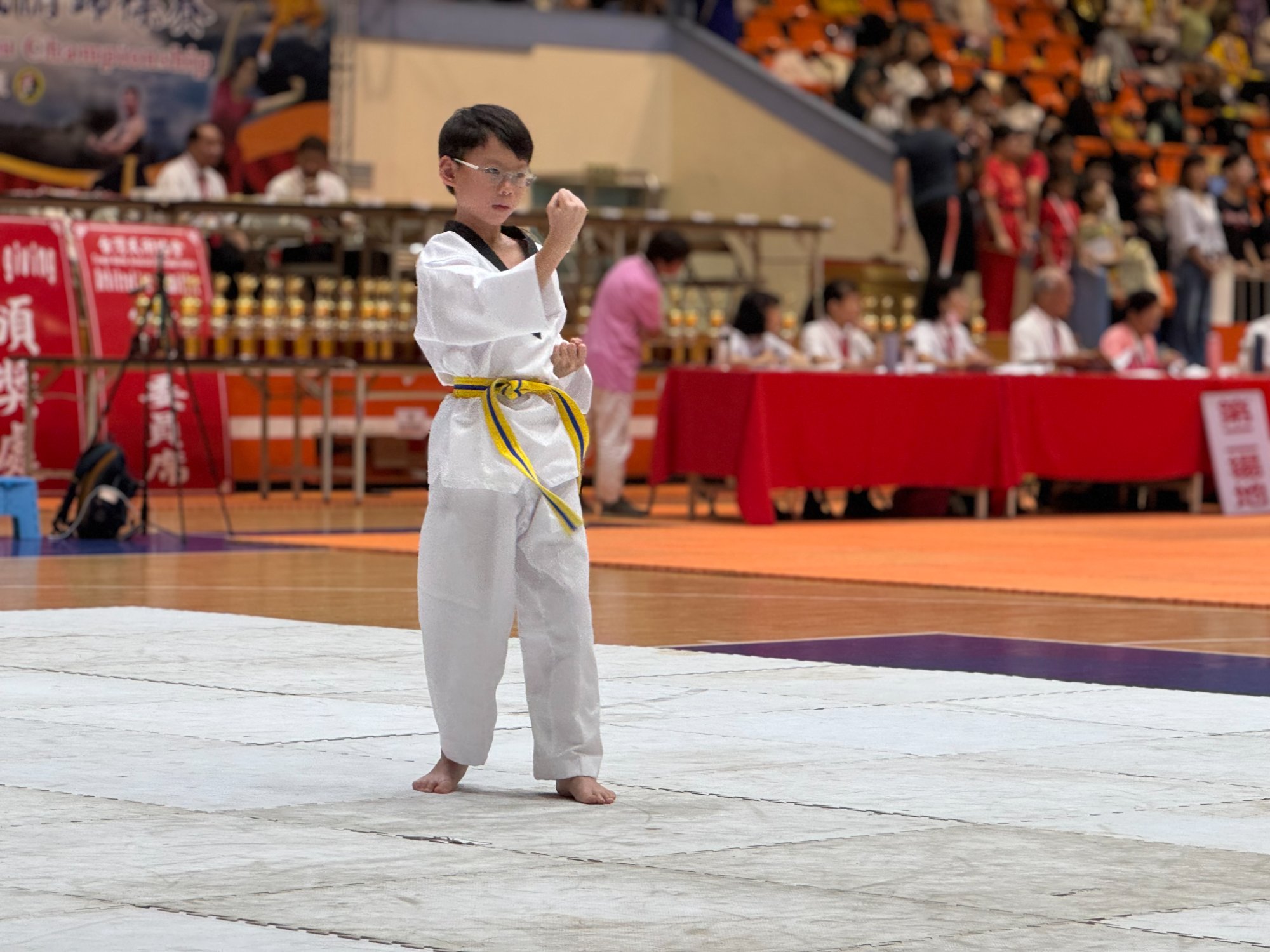 世界盃武術錦標賽