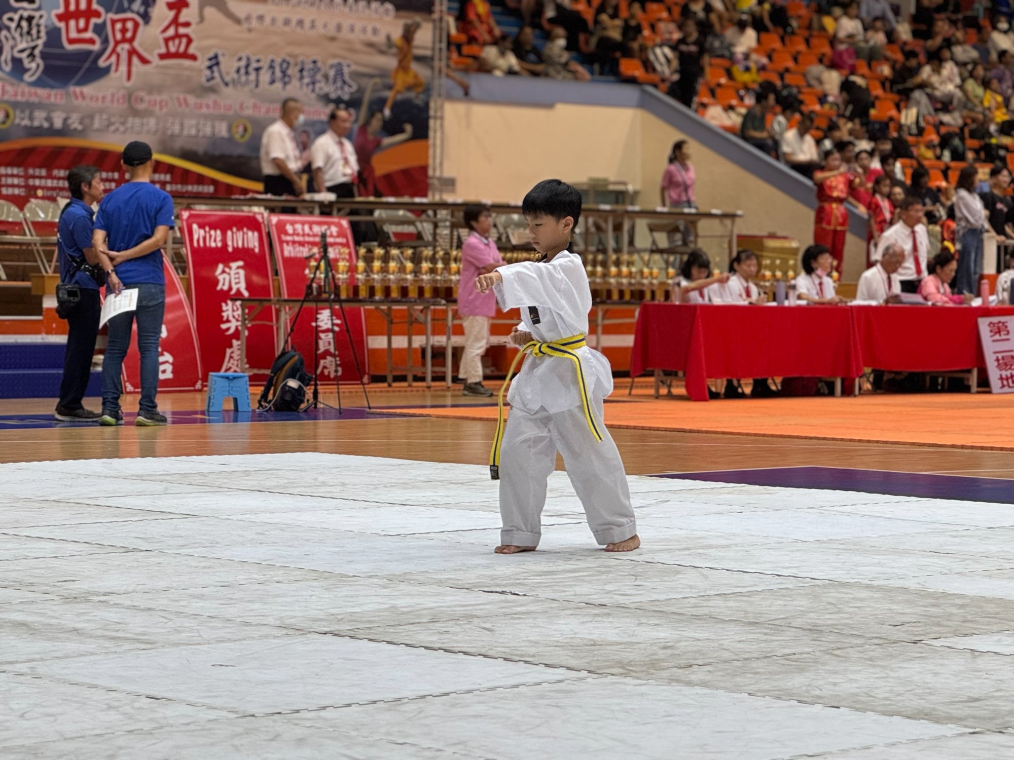 世界盃武術錦標賽