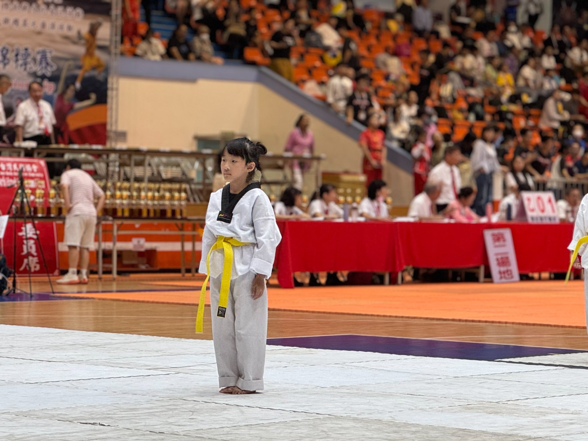 世界盃武術錦標賽