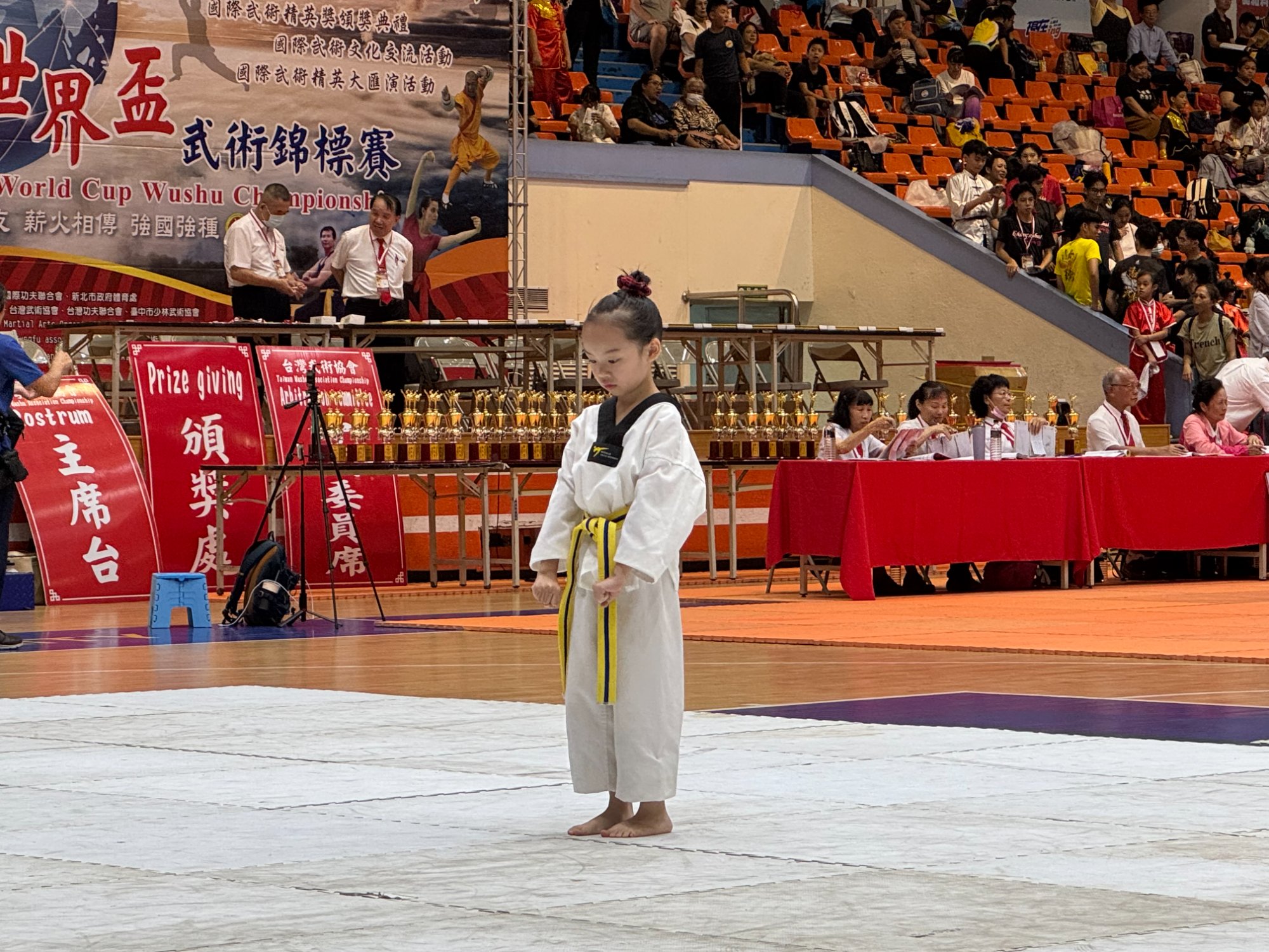 世界盃武術錦標賽