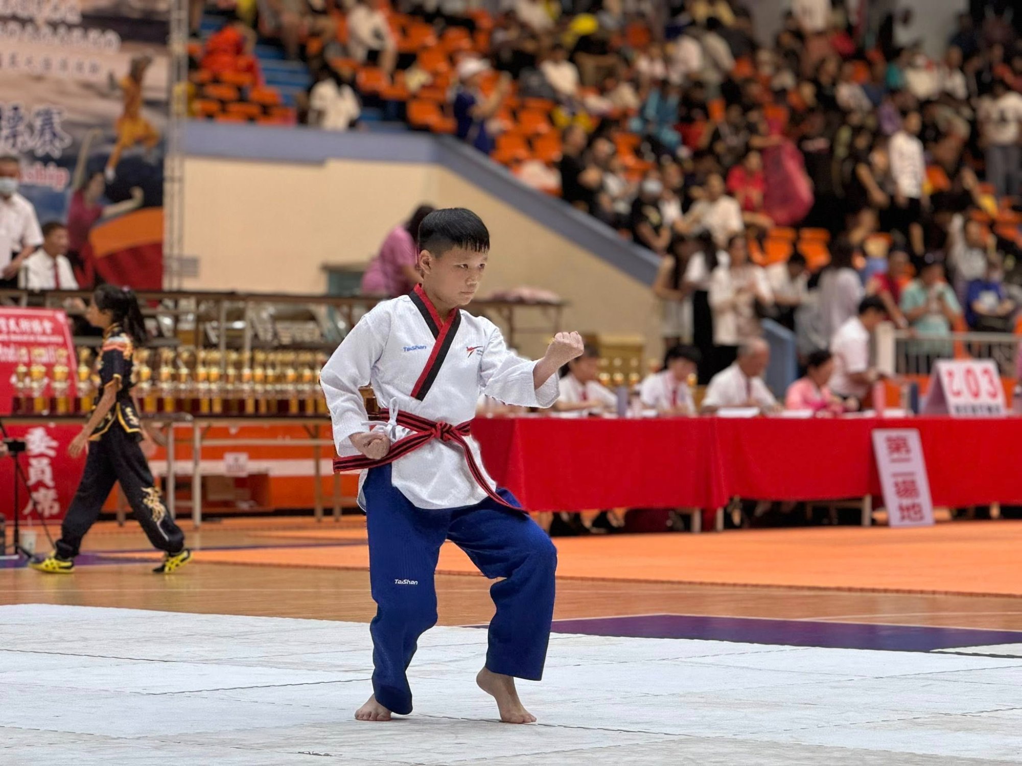 世界盃武術錦標賽品勢3