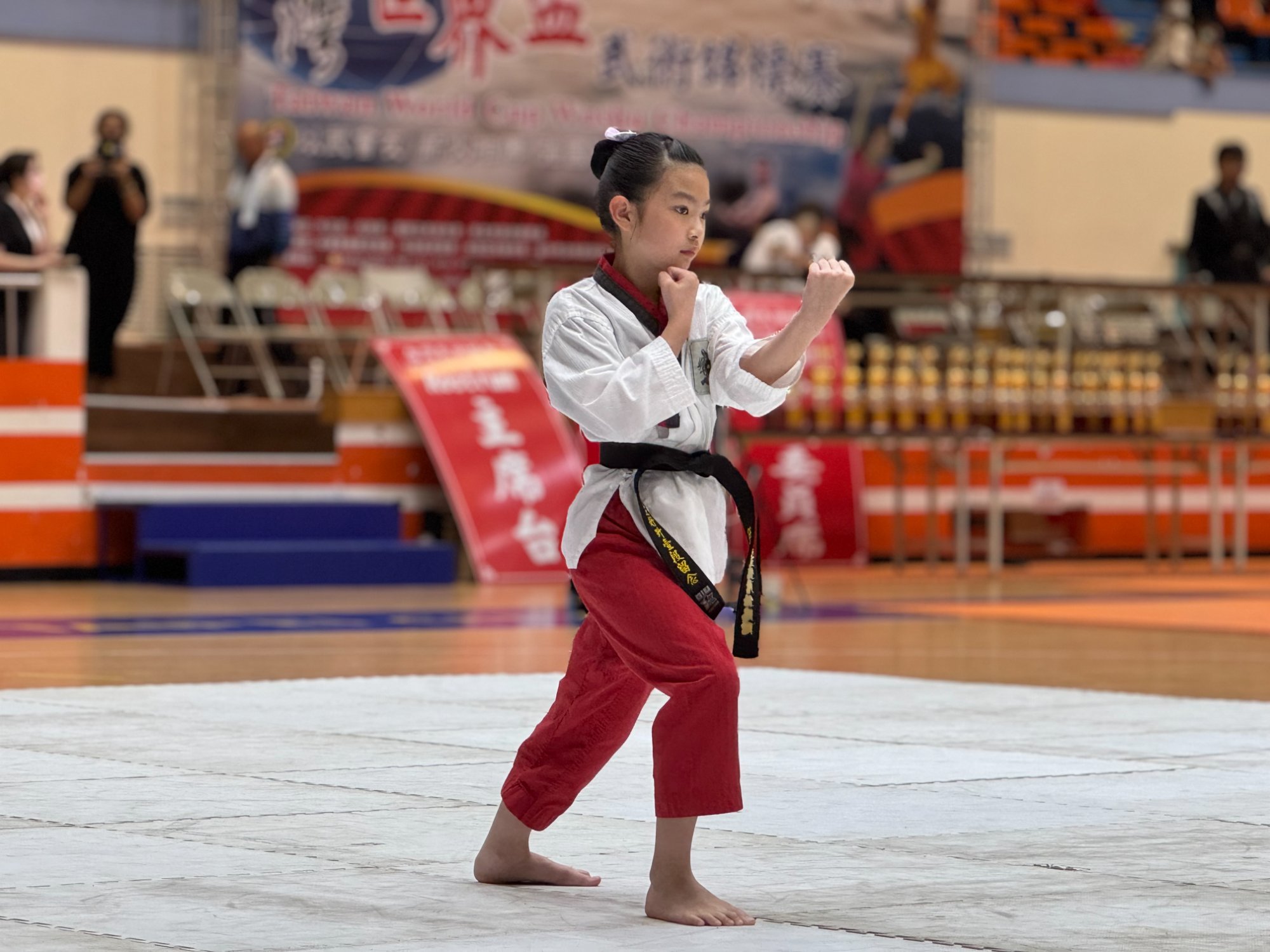 世界盃武術錦標賽