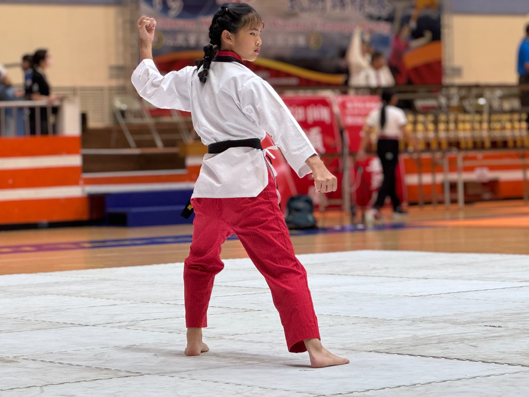 世界盃武術錦標賽